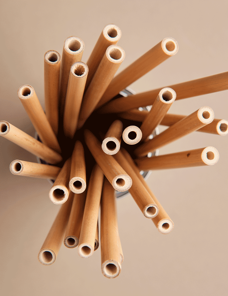 Bamboo Straw Set