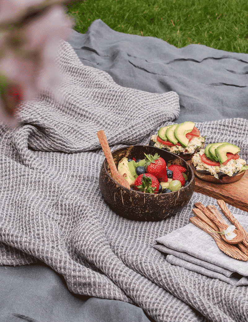 Natural Coconut Shell Bowl