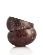 Natural Coconut Shell Bowl